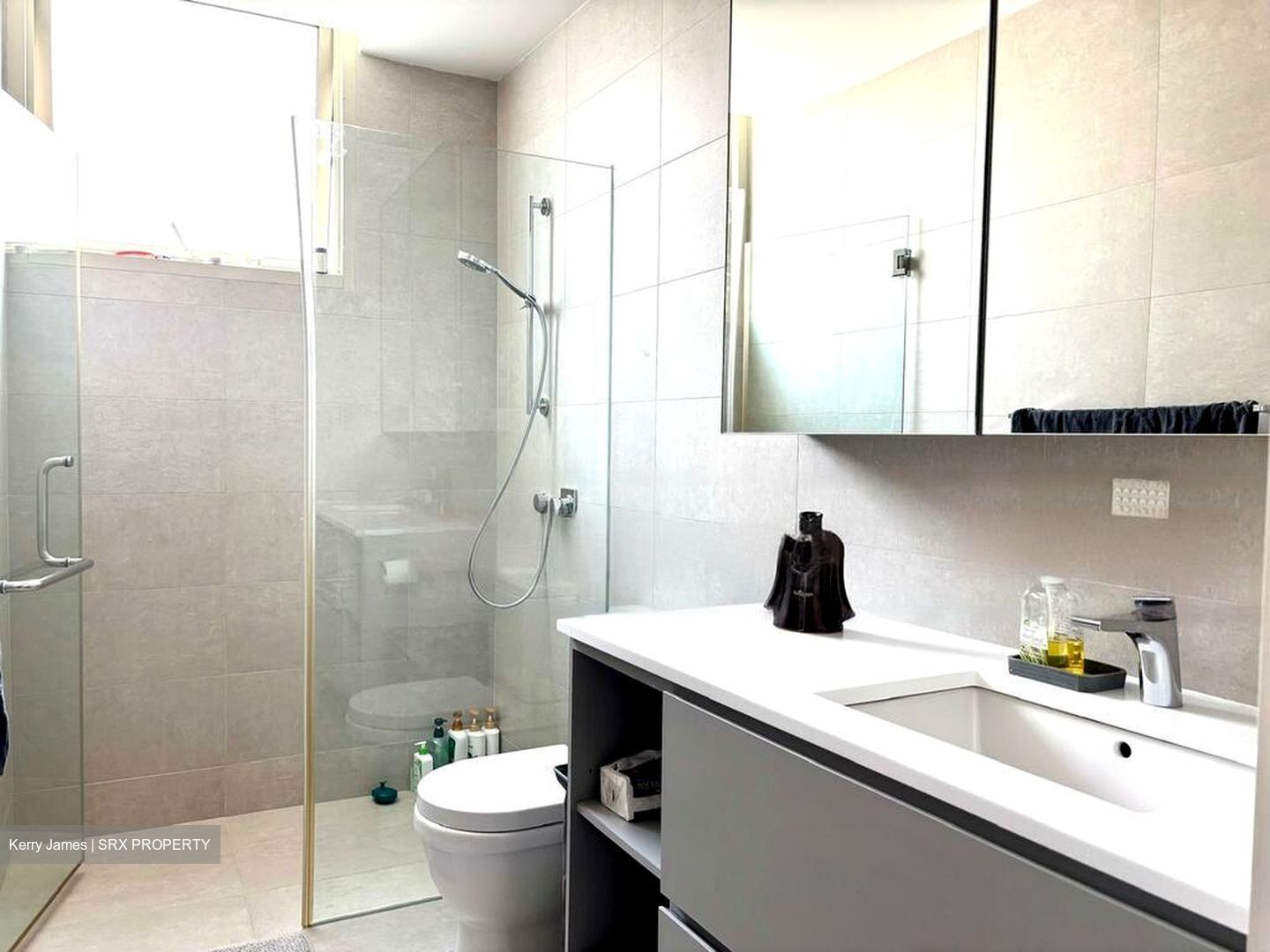 Tudor Ten (D11), Detached #496760071